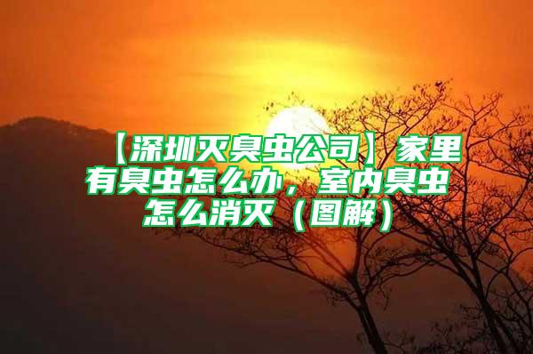 【深圳灭臭虫公司】家里有臭虫怎么办，室内臭虫怎么消灭（图解）