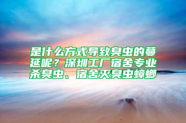 是什么方式导致臭虫的蔓延呢？深圳工厂宿舍专业杀臭虫、宿舍灭臭虫蟑螂