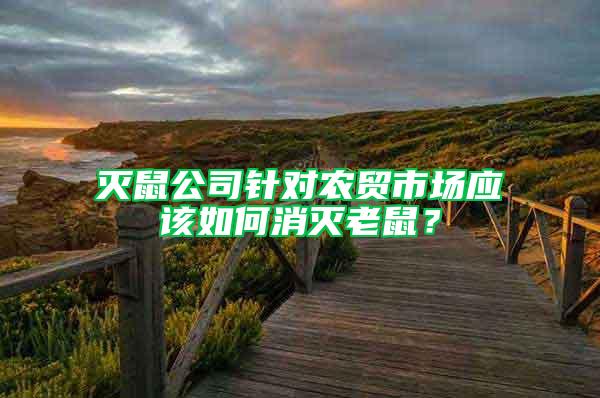 灭鼠公司针对农贸市场应该如何消灭老鼠？