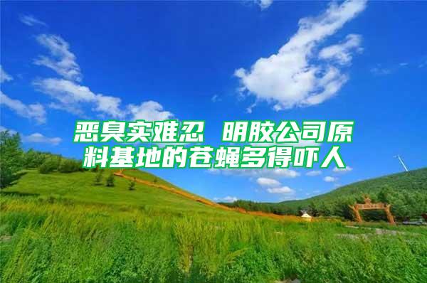 恶臭实难忍 明胶公司原料基地的苍蝇多得吓人