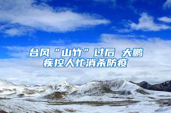 台风“山竹”过后 大鹏疾控人忙消杀防疫