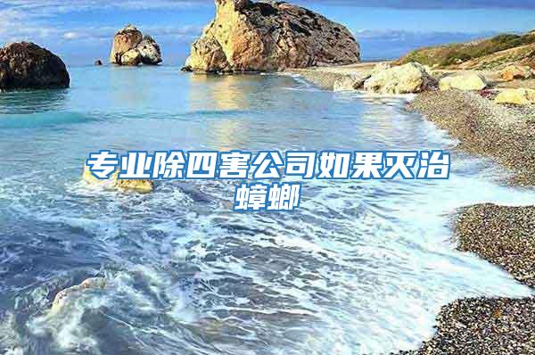 专业除四害公司如果灭治蟑螂