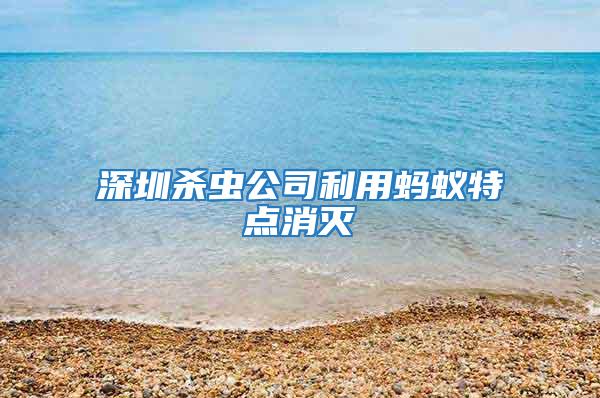 深圳杀虫公司利用蚂蚁特点消灭