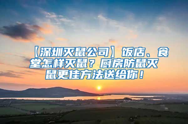 【深圳灭鼠公司】饭店、食堂怎样灭鼠？厨房防鼠灭鼠更佳方法送给你！