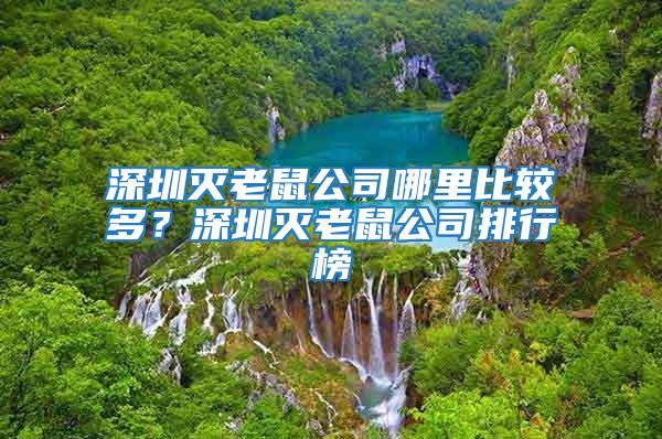 深圳灭老鼠公司哪里比较多？深圳灭老鼠公司排行榜