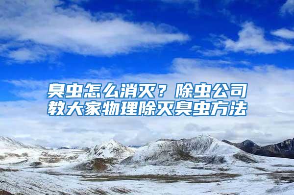 臭虫怎么消灭？除虫公司教大家物理除灭臭虫方法