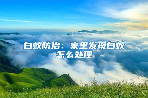 白蚁防治：家里发现白蚁怎么处理