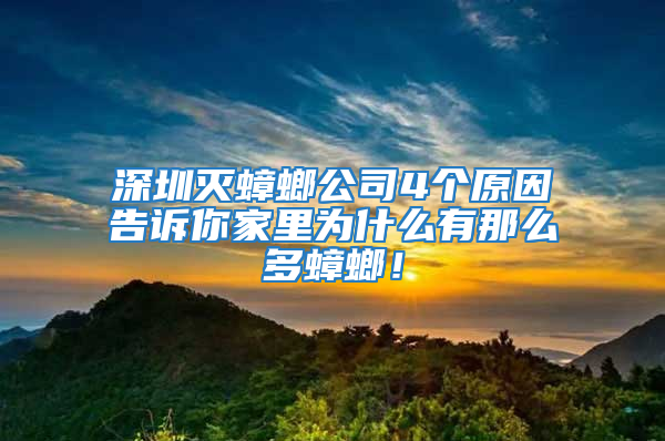 深圳灭蟑螂公司4个原因告诉你家里为什么有那么多蟑螂！