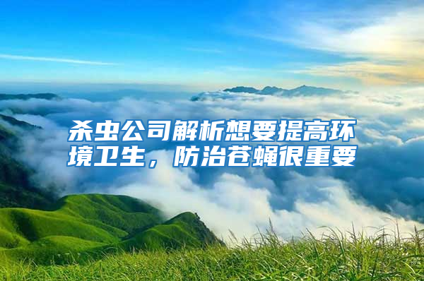 杀虫公司解析想要提高环境卫生，防治苍蝇很重要