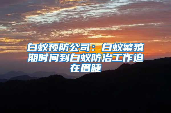 白蚁预防公司：白蚁繁殖期时间到白蚁防治工作迫在眉睫